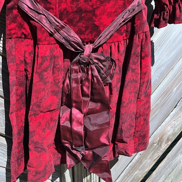 Vintage 90s 80s child cottagecore rose velvet dress vintage Victorian - Picture 7 of 10